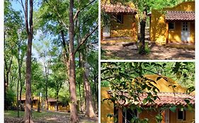 Cabañas Nueve Alamos